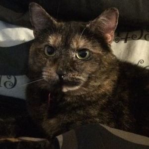 Meet your Posher, Alexandra